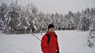 Зимний лес
