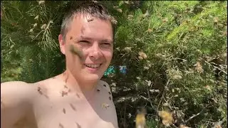 Вышел рой,видео для истории 🔥
