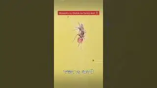 Sunny deol Vs Mosquito #funnyvideo #comedy #realfoolscomedy #surajrox