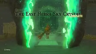 Taking the EASY way to the Air Temple - Zelda Tears of the Kingdom - EP 17