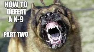 Part 2 -  How To Defeat Police K-9s or Avoid Being Found By Dogs Trained To Find You