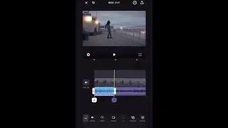 Audio Tracks: Trimming and Repositioning