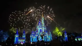 DIsney World Magic Kingdom Fireworks (finale) #disney #travelagent