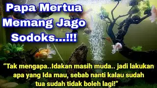 TAK KUSANGKA PAPA MERTUA LEBIH TAHAN LAMA