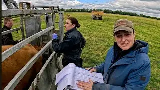 TB Testing Out In The Fields!