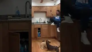 She was terrified when she found out what the dogs had discovered 😱