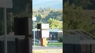 you F****D it up