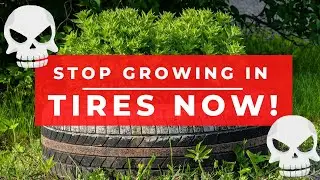 Planting in tires - Growing food in tires - tyre planters - Growing potatoes in tires