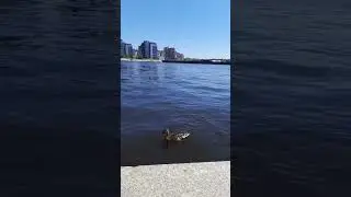 Санкт -Петербург