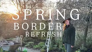 How I created more plants for free!