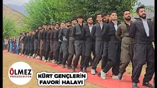Gençlerin favori halayı Şexani Şiyar Berwari Özgür Evin düğünü