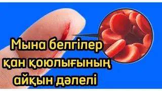 Қанның қоюлануы. Алғашқы белгілері. Денсаулық арнасы. Денсаулық