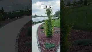 До/после💓🌻🌹 озеленение объекта Краснодарский край. ландшафтный дизайн #shorts
