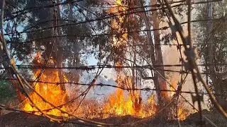 A big fire behind the graveyard of Parys in South Africa