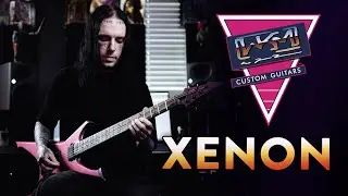 I GOT A NEW GUITAR! - WKM CUSTOM GUITARS XENON DEMO!