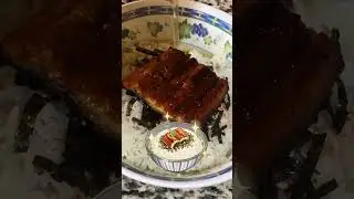 Unagi Chazuke from Genshin Impact 