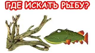 РЫБАЛКА ПО КОРЯГАМ. ГДЕ ЛОВИТЬ РЫБУ. ЩУКА НА СПИННИНГ