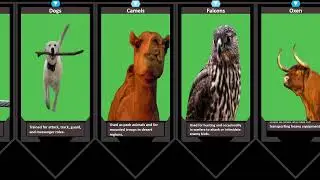 Beasts in Battle - Animal Recruits in War.