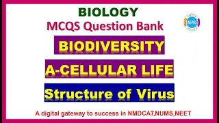 Structure of virus,