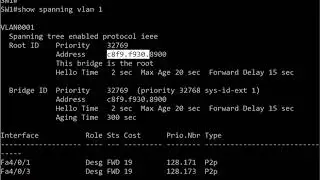 "You Just Might Be A Root Switch": A CCNA 200-301 Video Boot Camp