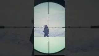 сердце медведя theHunter Call of the Wild™ magnum 338