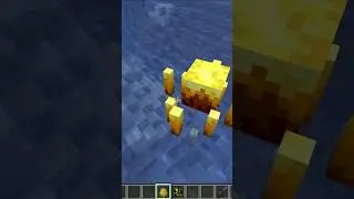 MAGMA CUBES IN WATER MAKE NO SENSE IN MINECRAFT 