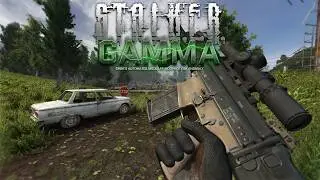 RISKING EVERYTHING - GAMMA IRONMAN