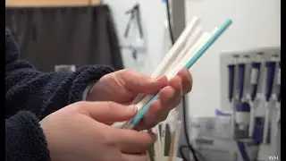 Do all plastics degrade the same?
