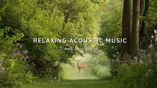 Morning songs to help you relax in a refreshing mood 🍀| Chill With Me