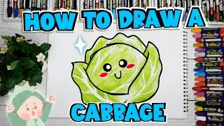 How To Draw A Cabbage