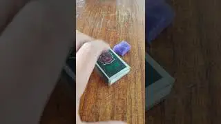 Матка с нуля ловим матку и делаем первоначальный инкубатор