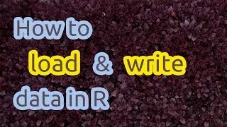 How to write and load data in R (CSV, RData, and RDS formats)