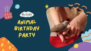 Animal Birthday Party