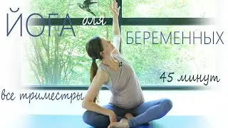 Йога для беременных | Все триместры | Разминка и растяжка на все тело и все группы мышц