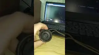 басс тест