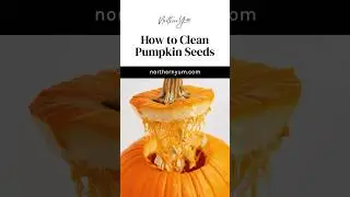 How to Clean Pumpkin Seeds the Easy Way! #shorts #fall #pumpkin #pumpkinseeds