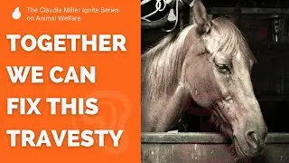 Help Fix American Horse Racing: HISA Webinar Event Announcement