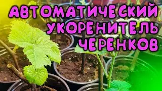 АВТОМАТИЧЕСКИЙ УКОРЕНИТЕЛЬ ВИНОГРАДНЫХ ЧЕРЕНКОВ ВСЕ СДЕЛАЕТ САМ / МИНИ КИЛЬЧЕВАТОР СВОИМИ РУКАМИ