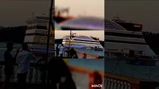 #goa #worldwildlifeday #animals #dolphin #trending #shorts #animals #viral #viralvideo #travel #trip