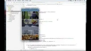iOS Animation with Swift Pictures Collection Like Instagram! class 43