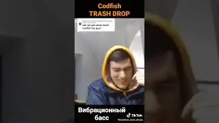 Codfish beatbox & Trash drop & Vibration Bass & Halftime movement