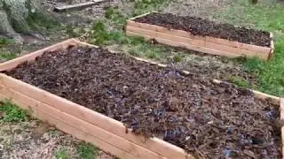 Building Inexpensive Raised Beds