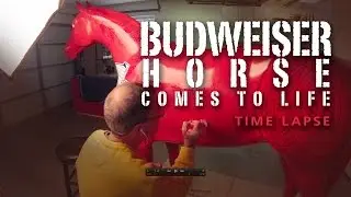 Budweiser Painted Horse Time Lapse Video