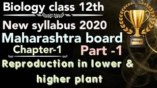 part-1 ch1 Reproduction in lower & higher plants class 12 science new syllabus maharashtra board- 21