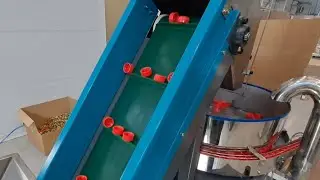 29 июня 2024 г.