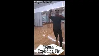 Yiquan Exploding Fist with Footwork #kungfu #martialarts #yiquan