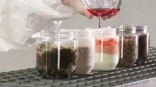 Презентация сорбирующих свойств Green Oil