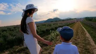 Лавандова гора 2021