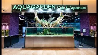 AquaGarden Cafe&Aquarium
