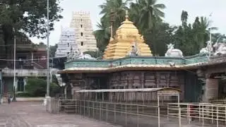 SRISAILAM MALLIKARJUNA SWAMY TEMPLE  IN ANDHRA PRADESH ! NALLAMALA FOREST